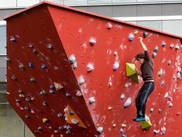 Vergrösserte Ansicht: Spitzen erklimmen: Boulderanlage Hönggerberg. (Bild: Alessandro Della Bella)