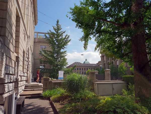 Kein Strassenraum zu klein, ein Garten zu sein: LFW-Gebäude. (Bild: Florian Meyer)