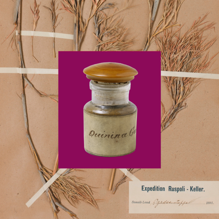 Ausstellung "Koloniale Spuren – Sammlungen im Kontext"