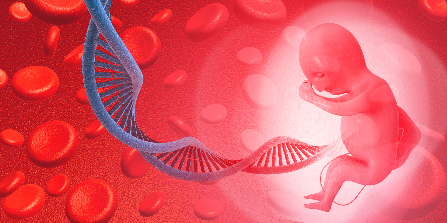 Kinder DNA