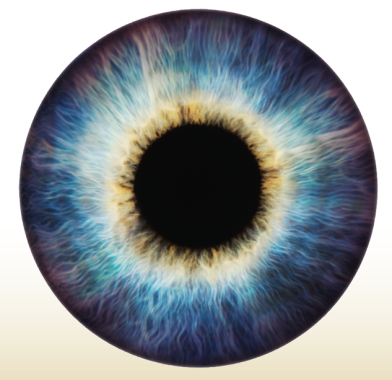 Scientifica Teaser
