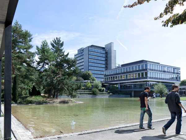 With its own pond: the Albert Steiner Garden. (Photograph: Marco Carocari)