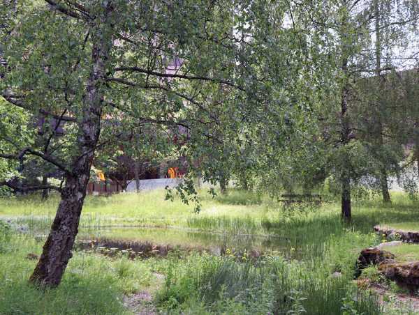 Somewhat hidden, but a dream of a garden: the Flora Ruchat-Roncati Garden. (Photograph: Fabian Stieger)