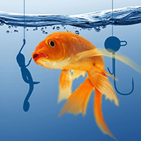 catching the right fish