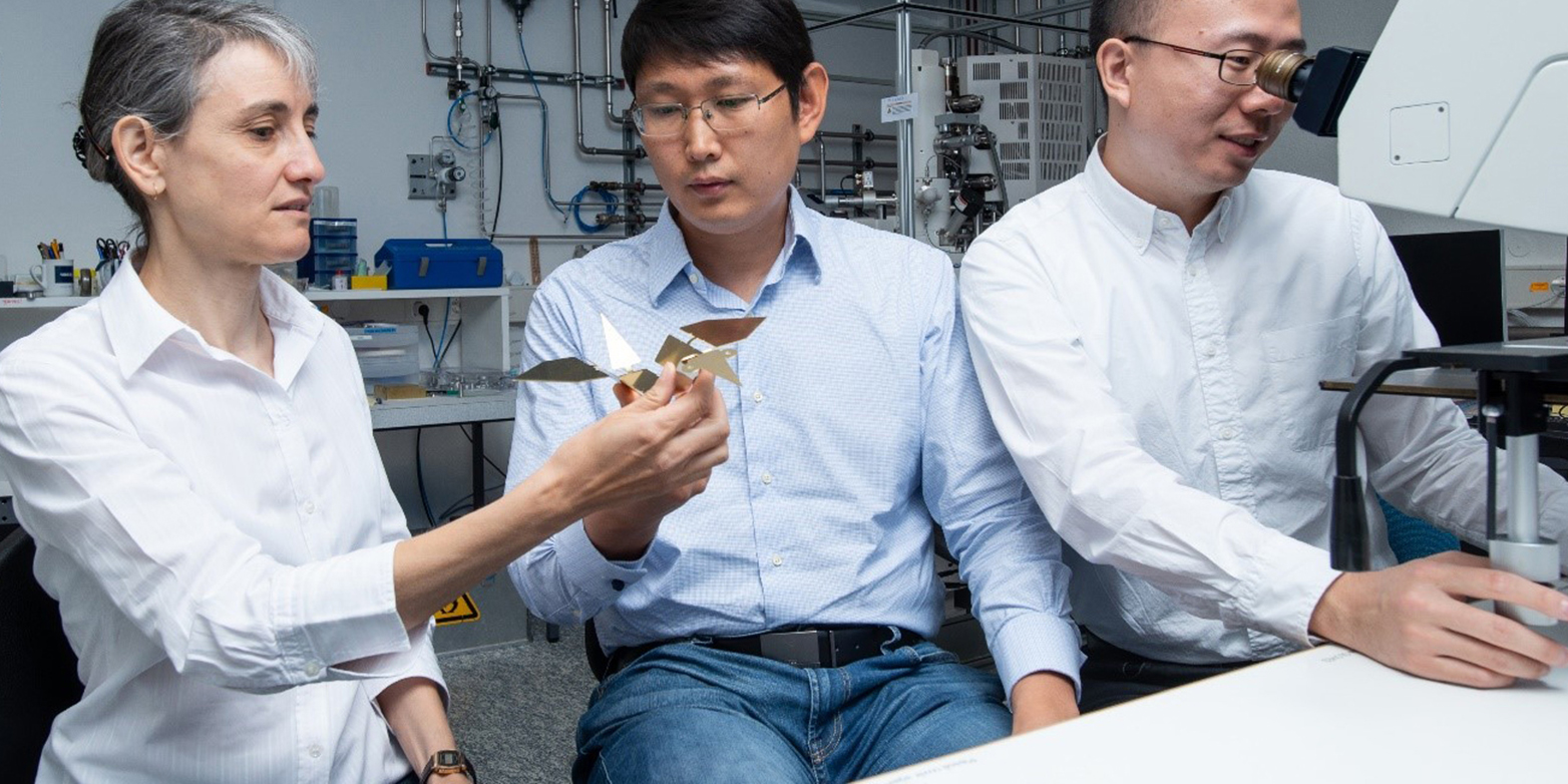 Laura Heyderman (left) and Tian-Yun Huang (center) look at a model of the origami bird, while Jizhai Cui observes the real microrobot under a microscope. (Photograph: Paul Scherrer Institute / Mahir Dzambegovic)