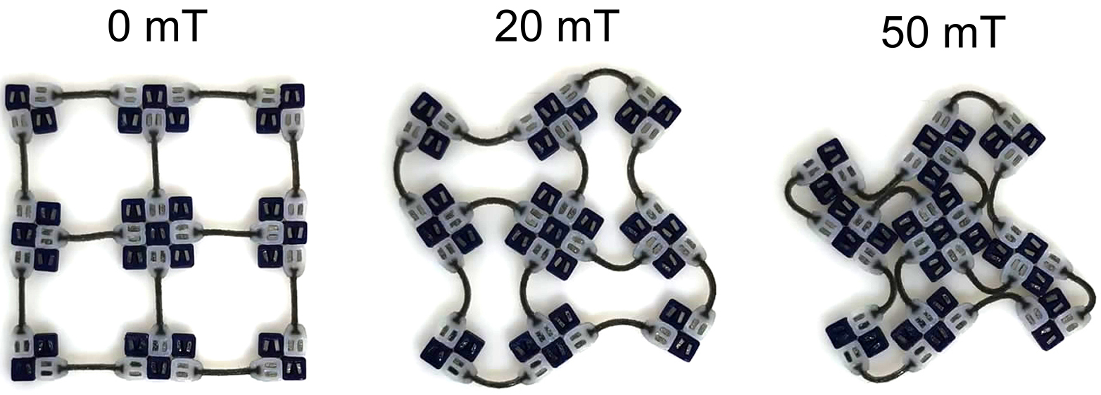 Modules in an external magnetic field