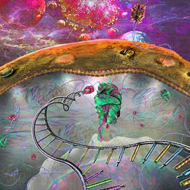RNAi - RNA-Interferenz (Science Photo Library/keystone)