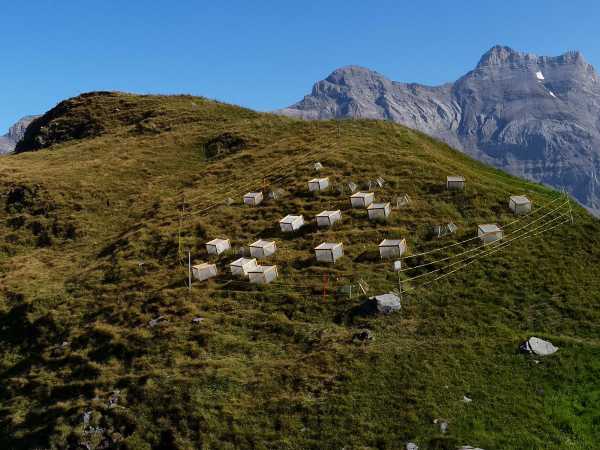 Research site located at 2270 m in the Chablais region. In the background, view on the summit of Les Diablerets. (Photo: P. Descombes)