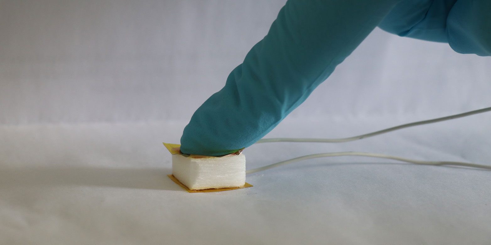 Wooden sponge