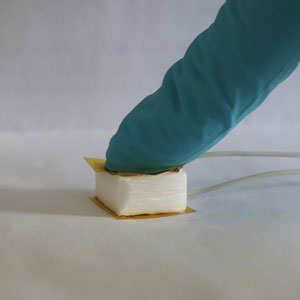 Wooden sponge