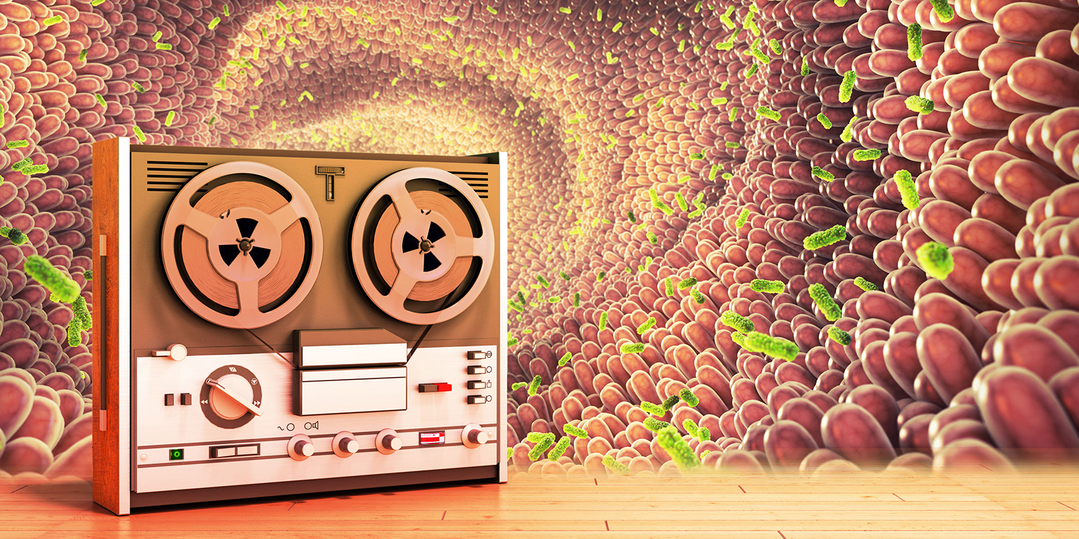 Recording device and gut bacteria