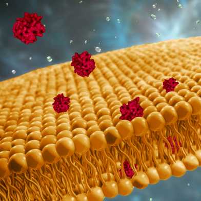 Representation of drugs that suppress the cell membrane.