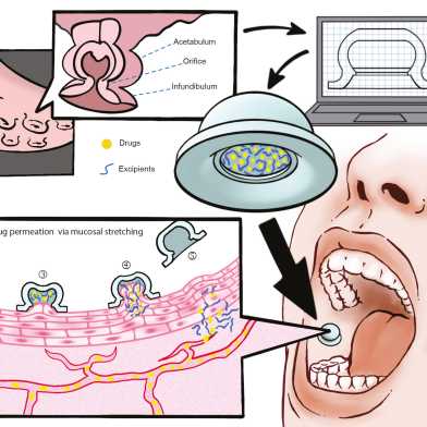 Graphic on how researchers got from squid to suckers for ingesting drugs.