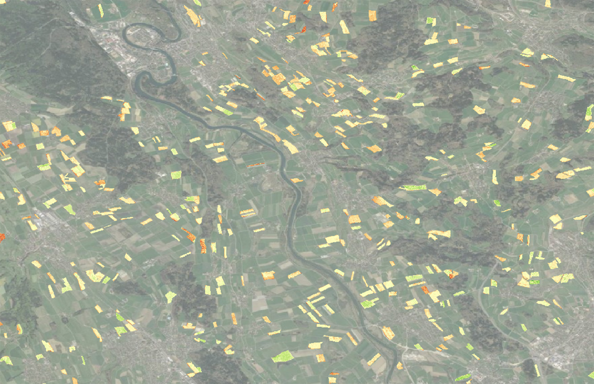 Enlarged view: Screenshot of Terensis platform with markings in fields